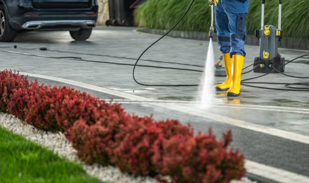 Best Gutter Cleaning and Brightening in Dousman, WI
